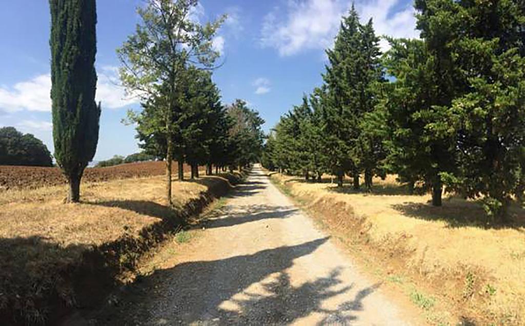 Agriturismo Ipoderi Chianciano Terme Zewnętrze zdjęcie